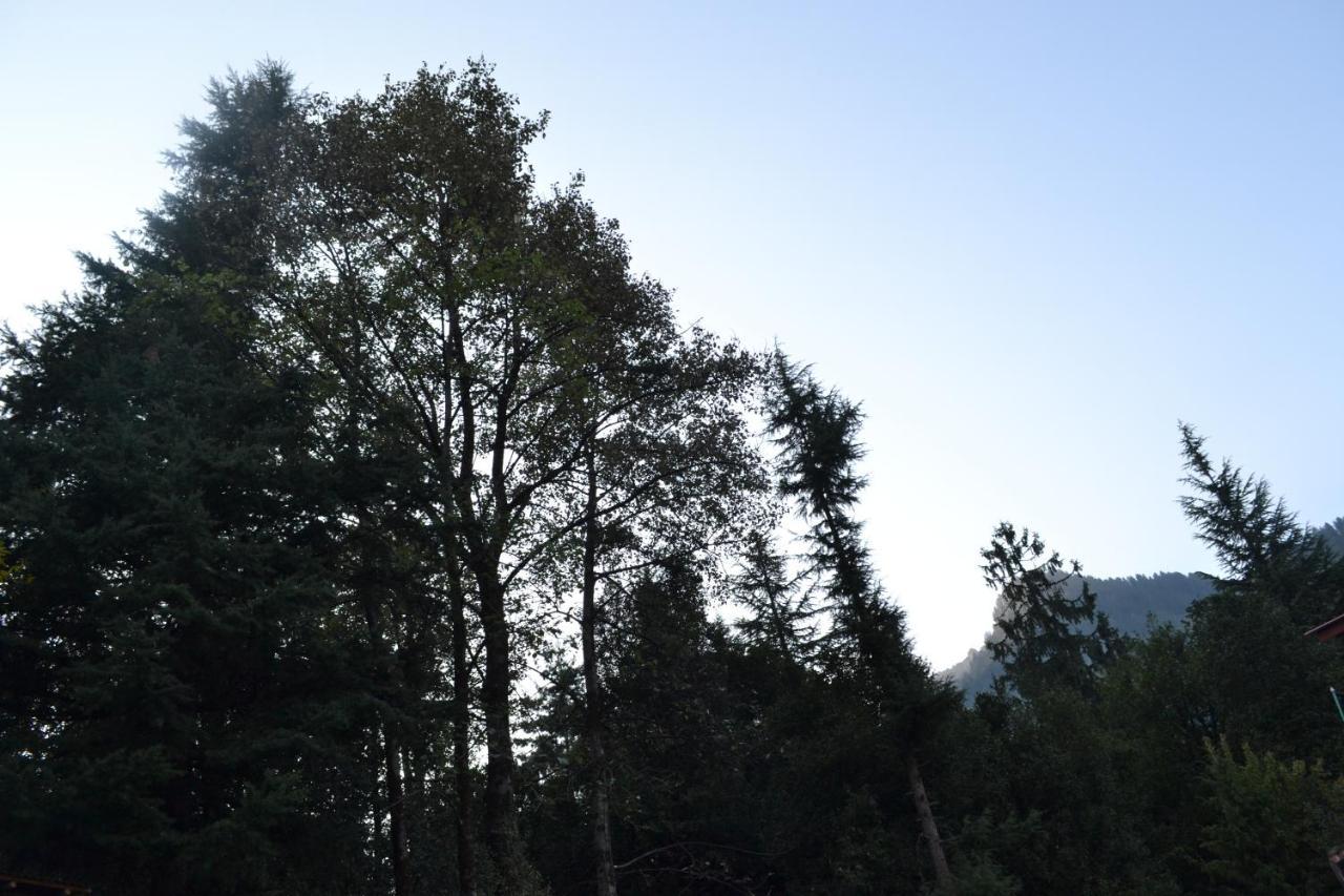 Forest Wood Cottage 마날리 외부 사진
